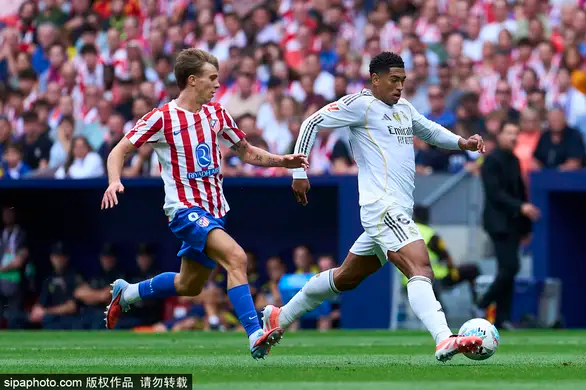 意大利足球俱乐部外资控股潮：经营变革与足球联赛国际化挑战